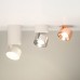 Модуль светодиодный PLURIO-LAMP-R77-9W Warm3000 (WH, 36 deg, 2-2, 38V, 200mA) 031828 Arlight