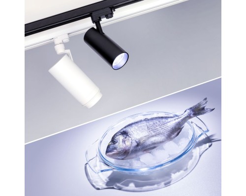 Светильник LGD-ZEUS-4TR-R88-20W Cool SP7500-Fish (BK, 20-60 deg, 230V) 032448 Arlight