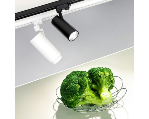 Светильник LGD-GERA-4TR-R74-20W Day SP5000-Veg (WH, 24 deg, 230V) 032461 Arlight Светильник LGD-GERA-4TR-R74-20W Day SP5000-Veg (WH, 24 deg, 230V) 032461 Arlight