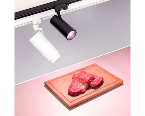 Светильник LGD-GERA-4TR-R74-20W Warm SP2900-Meat (BK, 24 deg, 230V) 032470 Arlight Светильник LGD-GERA-4TR-R74-20W Warm SP2900-Meat (BK, 24 deg, 230V) 032470 Arlight