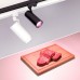Светильник LGD-GERA-4TR-R74-20W Warm SP2900-Meat (BK, 24 deg, 230V) 032470 Arlight