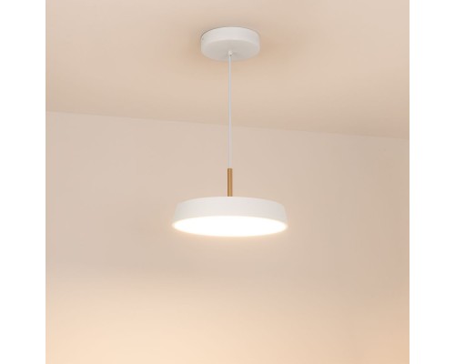 Светильник SP-ELEGANT-R300-17W Warm3000 (WH, 120 deg, 230V) 033914 Arlight Светильник SP-ELEGANT-R300-17W Warm3000 (WH, 120 deg, 230V) 033914 Arlight
