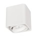Светильник SP-CUBUS-S100x100-8W Warm3000 (WH, 45 deg, 230V) 036051 Arlight