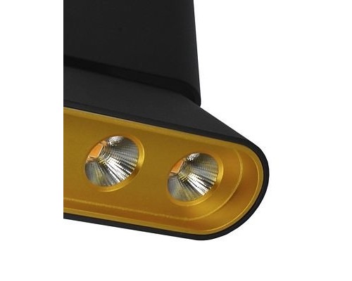 Спот Фергус 8005/3CS-BK-GD Lumien Hall