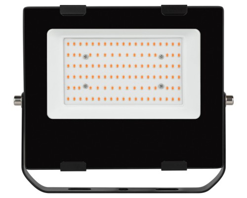 Светильник для растений  FITO-50W-RB-LED ЭРА