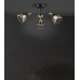 Потолочная люстра Aniko WD3637/3C-BK-FGD-BK Wedo Light