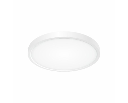 Потолочный светильник Бейсик CL738240V Citilux