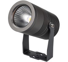 Прожектор уличный RAY 029699 Arlight