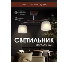 Потолочная люстра SS1N 000024060 Мелодия Света