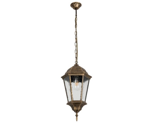 Уличный светильник подвесной Genova A1204SO-1BN Arte Lamp
