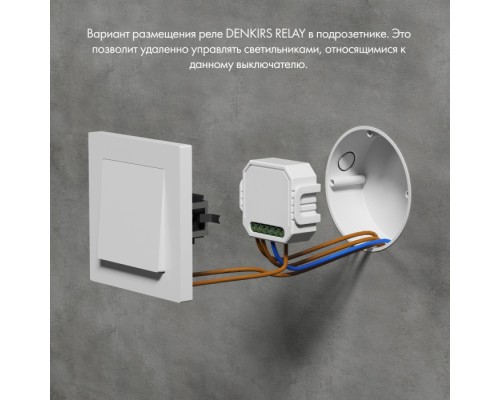 Wi-Fi реле Relay RL1003-DM/1 Denkirs
