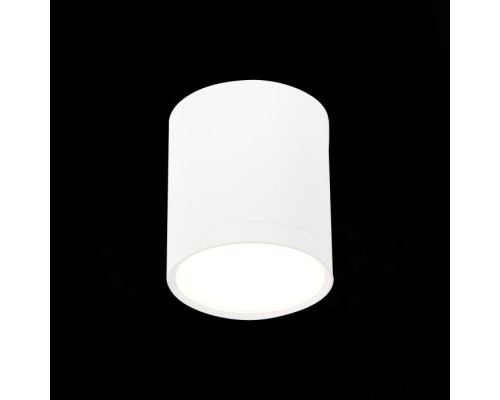 Точечный светильник Rene ST113.542.05 ST Luce