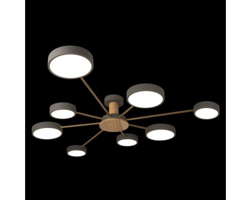 Потолочная люстра Sunrise 10316/8 Grey Loft It