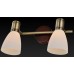 Спот Sharyl TL3720Y-02BB TopLight