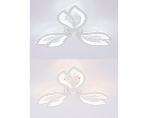 Потолочная люстра Fortuna LED LAMPS 81107/2C Natali Kovaltseva