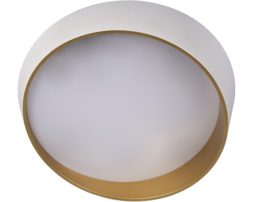 Потолочный светильник Coin 10199 White Loft It