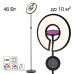 Торшер Loong CL810031 Citilux