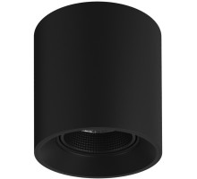 Точечный светильник Rodvig DK3090-BK Denkirs