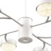 Потолочная люстра Torina 8265/12 Lumion