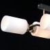 Потолочная люстра  IL0809-4ASQ-25 BK AB NAPLES ILLUMICO