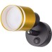 Спот Bruno CL565514 Citilux