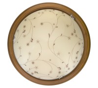 Настенно-потолочный светильник Karissa TL9650Y-00OA TopLight