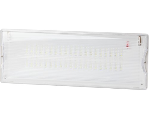 Аварийный светильник  DPA-301-0-65 ЭРА
