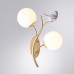 Бра Camomilla A9712AP-2SG Arte Lamp