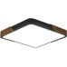 Потолочный светильник Alberro ZRS.01288.60 Zortes