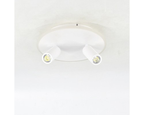 Настенно-потолочный светильник 20046LED 20046SMA/02LED WH Escada