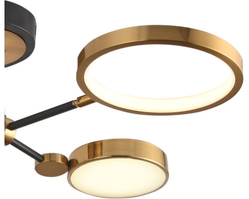 Потолочная люстра Loft Led LED LAMPS 81102/4C BRASS BLACK Natali Kovaltseva