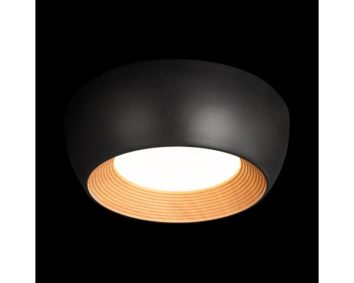 Потолочный светильник Folk 10255/350 Black Loft It