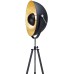 Торшер Sherrelwood LSP-9824 Lussole Loft