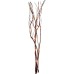 Ночник Willow Dewdrop 410798 Eglo