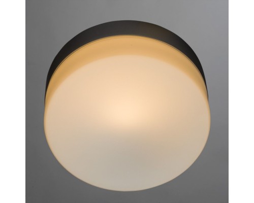 Потолочный светильник Aqua-tablet A3211PL-1SI Arte Lamp
