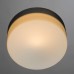 Потолочный светильник Aqua-tablet A3211PL-1SI Arte Lamp