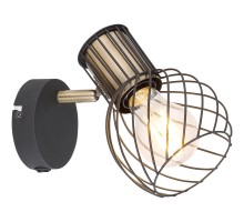 Спот Argusto 54013-1 Globo