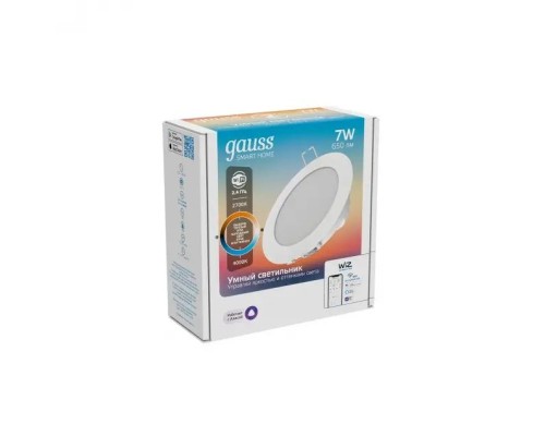 Точечный светильник Smart Home 2030122 Gauss