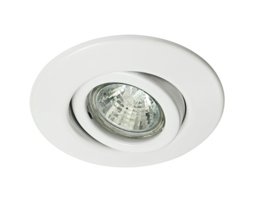 Точечный светильник Quality Line 98336 Paulmann