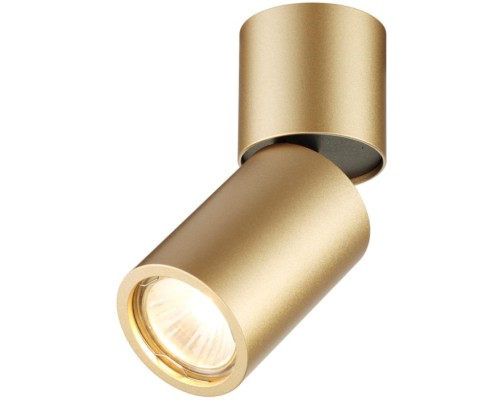 Точечный светильник Duetta 3895/1C Odeon Light