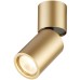 Точечный светильник Duetta 3895/1C Odeon Light