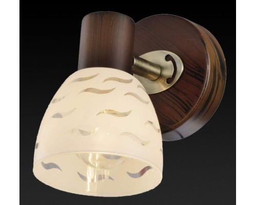 Спот Shayla TL3730Y-01BB TopLight