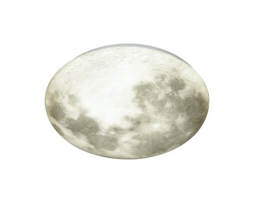 Настенно-потолочный светильник Moon 3084/DLN Sonex
