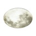 Настенно-потолочный светильник Moon 3084/DLN Sonex