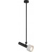 Подвесной светильник Delta 2361-1 BK+WH iLedex