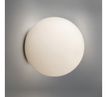 Настенно-потолочный светильник Dioscuri 0112010A Artemide