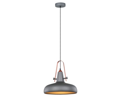 Подвесной светильник Middletown LSP-9814 Lussole Loft