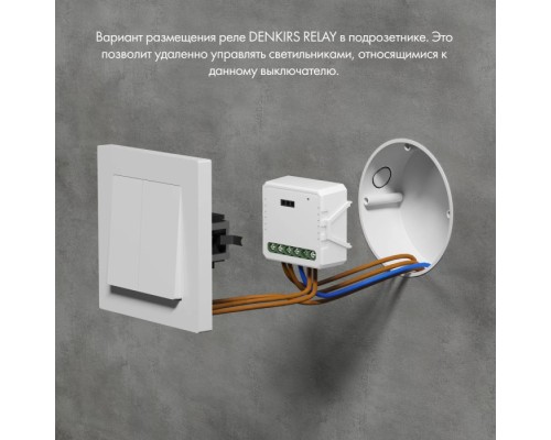 Wi-Fi реле Relay RL1002-SM Denkirs