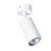 Спот Aquarius A3216PL-1WH Arte Lamp