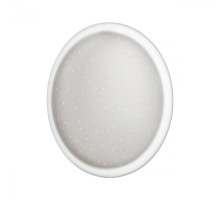 Настенно-потолочный светильник Jolly 7774/ELN Sonex